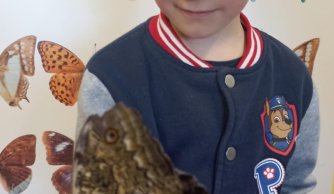 Motylarnia – warsztaty edukacyjne