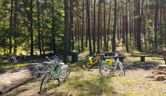 Rowerem przez historię i przyrodę