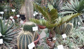 Wycieczka, wycieczka...