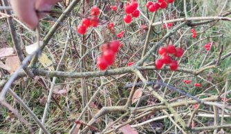 Jesienny spacer klasy trzeciej 