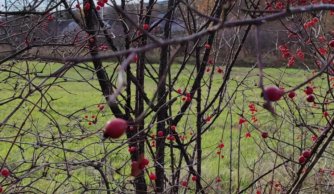 Jesienny spacer klasy trzeciej 