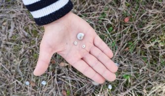 Jesienny spacer klasy trzeciej 