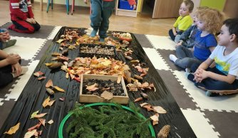  Jesienna ścieżka sensoryczna – zabawy ze zmysłami w praktyce 