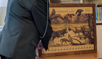 Spotkanie z lasem… bez wychodzenia ze szkoły