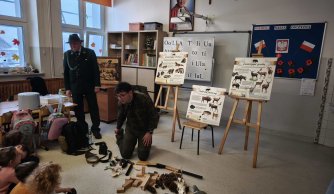 Spotkanie z lasem… bez wychodzenia ze szkoły