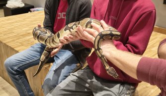 Wyjazd edukacyjno-kulturalny do Janowa Lubelskiego