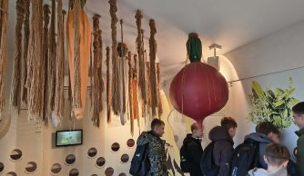 Wyjazd edukacyjno-kulturalny do Janowa Lubelskiego