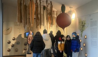 Wyjazd edukacyjno-kulturalny do Janowa Lubelskiego