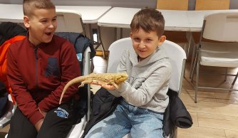 Wyjazd edukacyjno-kulturalny do Janowa Lubelskiego