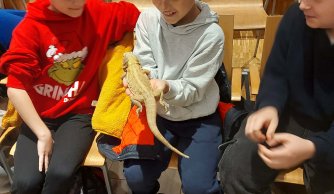 Wyjazd edukacyjno-kulturalny do Janowa Lubelskiego