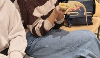 Wyjazd edukacyjno-kulturalny do Janowa Lubelskiego