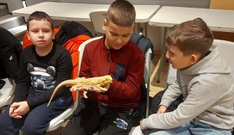 Wyjazd edukacyjno-kulturalny do Janowa Lubelskiego