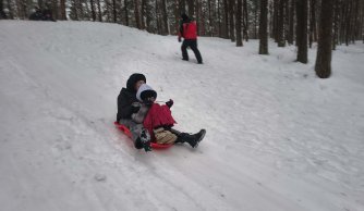 Śnieżna wyprawa pełna radości – szkolny kulig w Dylach